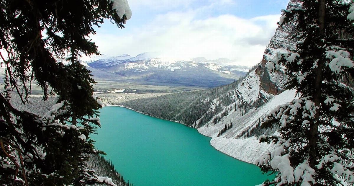 12 Stunning Photos Of Places Decorated With The Most