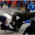 Bull Fighting Accidents 18+