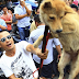 This is very brutally disturbing! Netizens reacts to this festive event in China