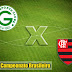 Embalado, Flamengo visita Goiás