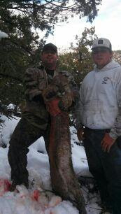 Cody+goff+and+Cash+Armstrong+mountain+lion+with+AZ+Ground+Pounders+2.JPG