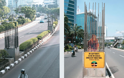 14 Creative and Clever Uses of Road in Advertisements (14) 5