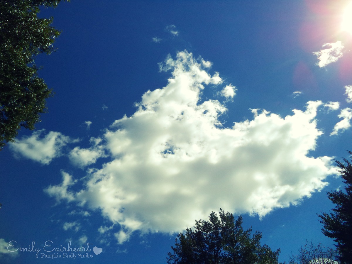 A cloud that looks like a parrot.