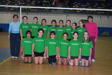 2011 CD VOLEIBOL POLÍGONO TOLEDO