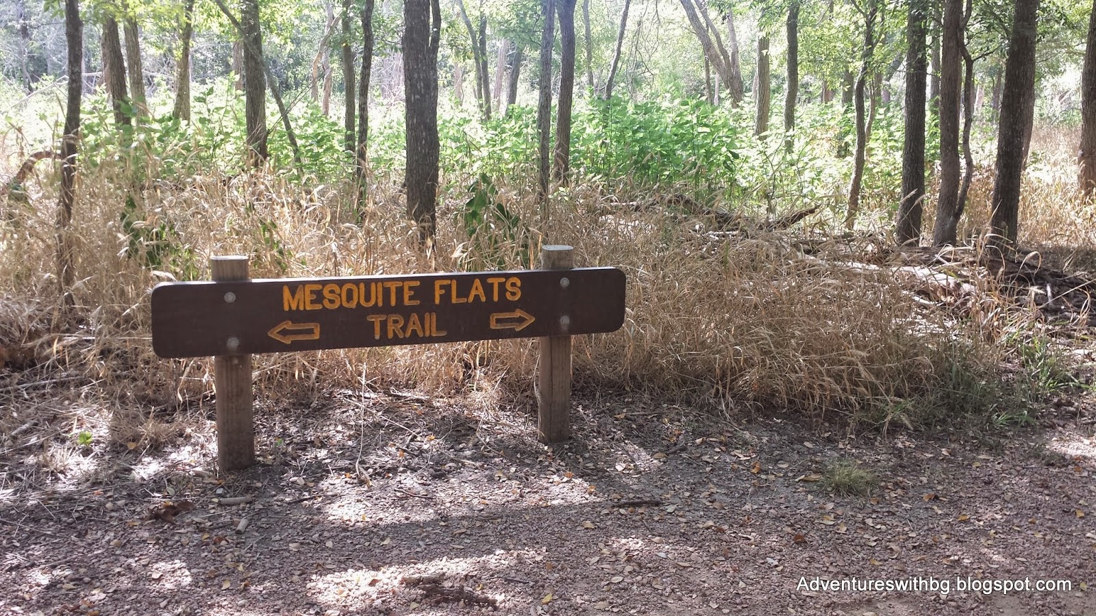 One of The Mesquite Flats Trailheads at palmetto state park