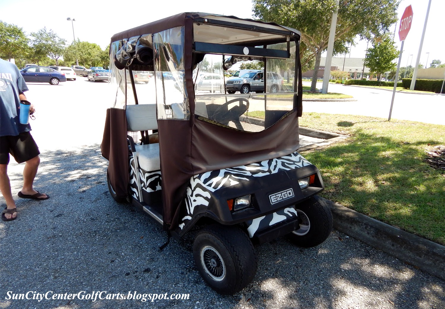 Safari Zebra Stripe EZGO golf cart, Sun City Center, FL