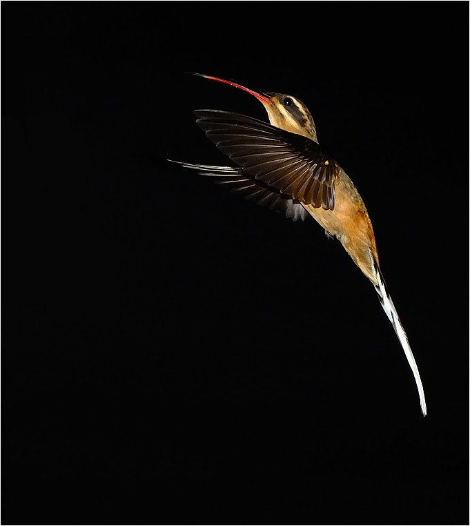 emphoka, photo of the day, Ferrarezi, Fujifilm X-S1 emphoka, photo of the day, Ferrarezi, Fujifilm X-S1