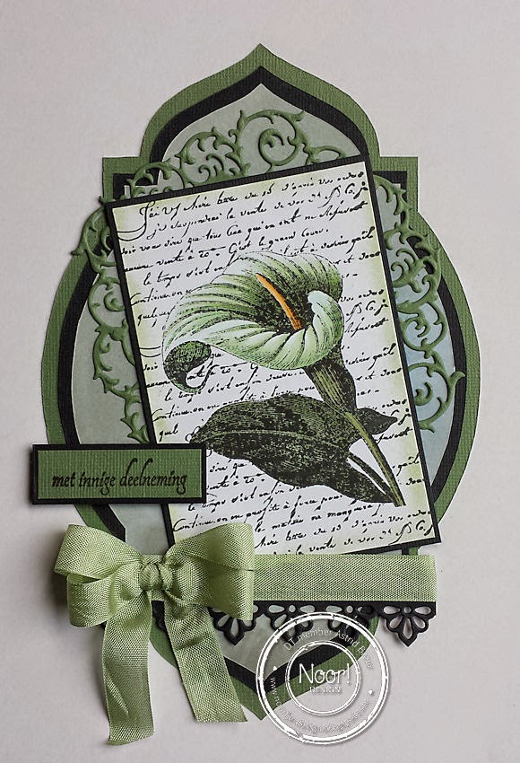 Cards by Astrid In de Spotlight Noor! Design en bloghop