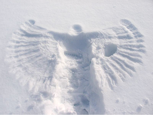19. Снежный ангел Но как делать снежного ангела, надеюсь, знают все). pic. 
