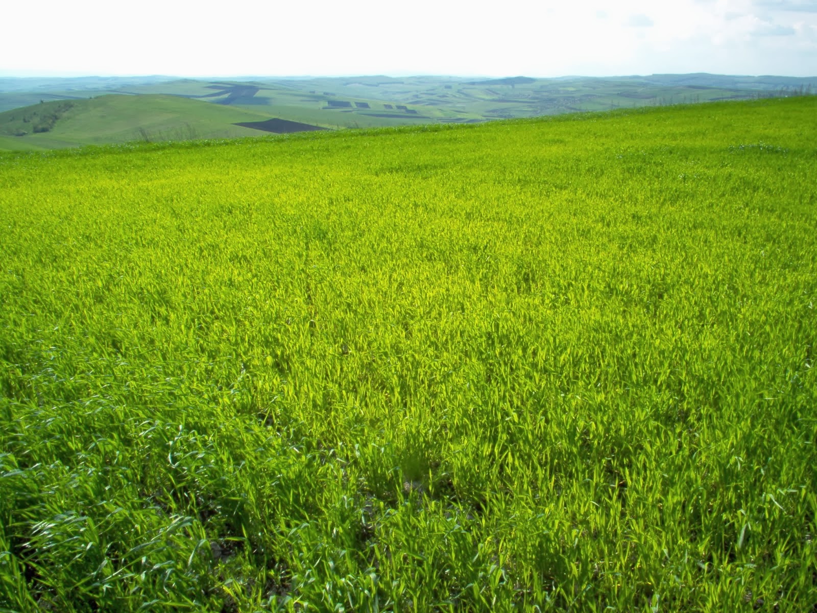 BUY LAND ROMANIA