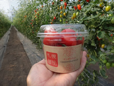 札幌蕃茄のオリジナルカップ