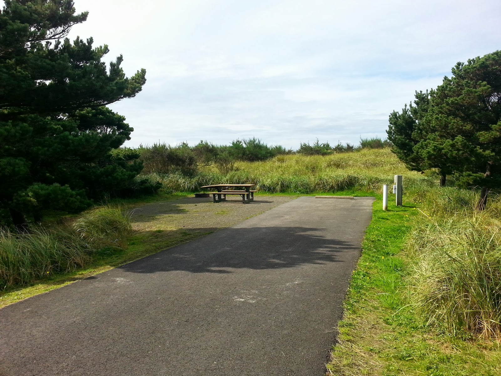 RVAGOGO RV Park Review Grayland Beach State Park (Grayland