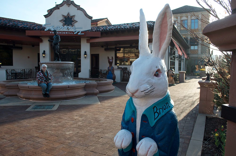The Photographer’s Sketchbook Plaza bunnies