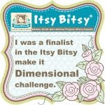 Dimensional Challenge Finalist