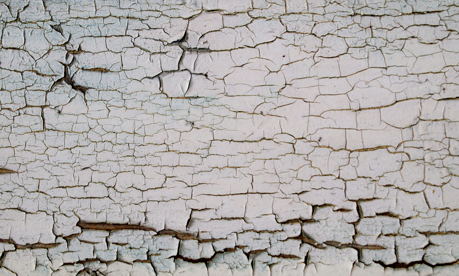 4 Views Of An Old White Wooden Door With Cracked Paint ReUsage