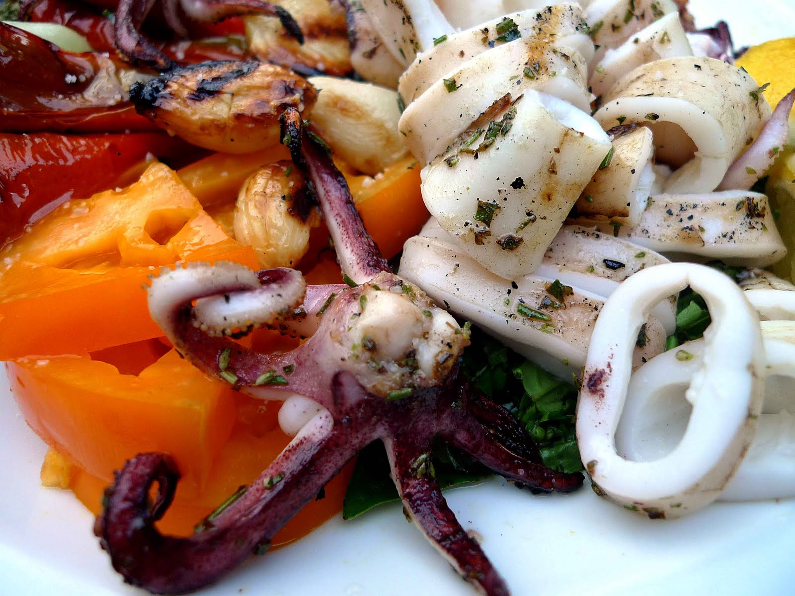Cape Squid