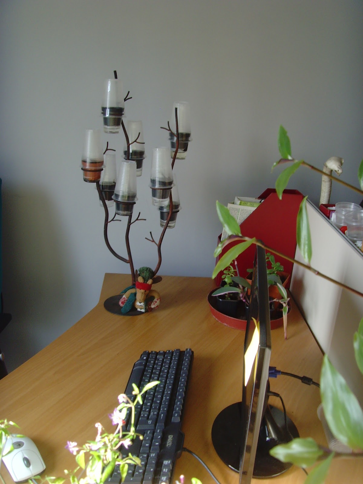 Les piments,le potager, les fleurs et plantes de biosyrphe: idée ...