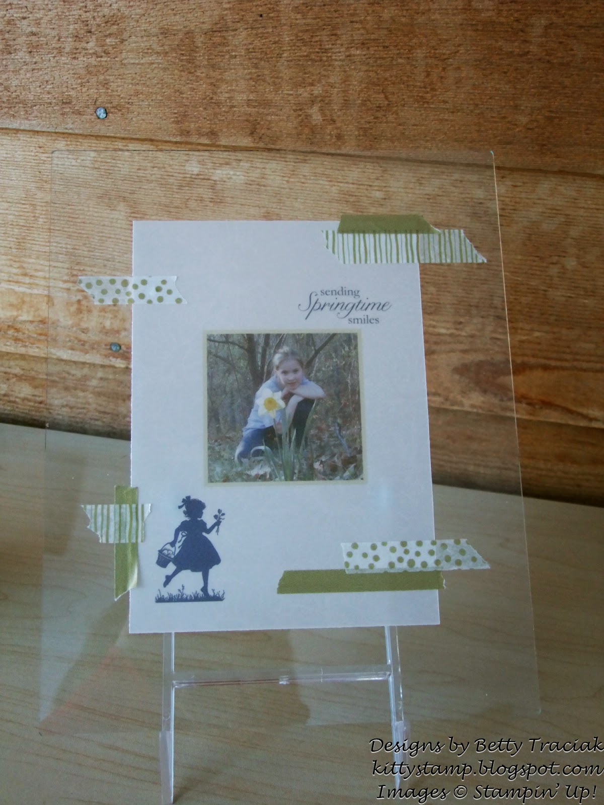 Kitty Stamp My Digital Studio Vellum Techniques Vellum Float Photo Frame