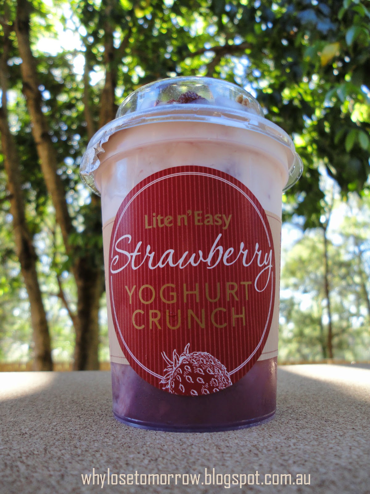 Why Lose Tomorrow? Lite n' Easy Weight Loss Journey Week 14 Day 4