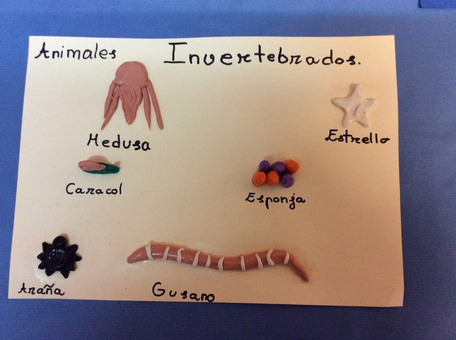 Los Animales Invertebrados