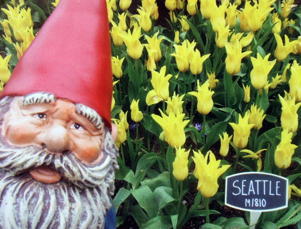 Mail Adventures Garden Gnomes