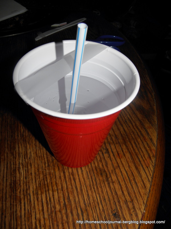 All Things Beautiful Summer Fun 52 Ice Cube Boats