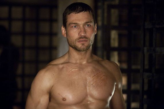andy whitfield 2011