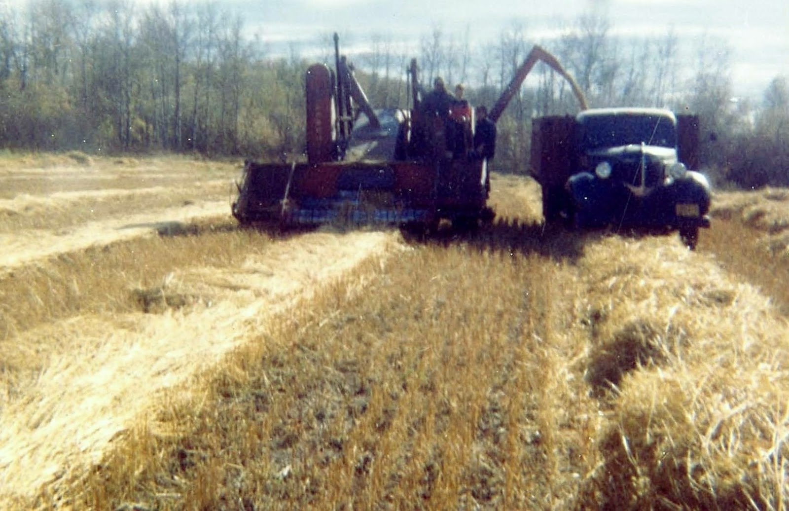 Here and There Dangers of Farming