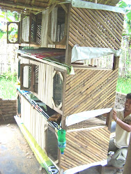 Kandang anakan lepas sapih