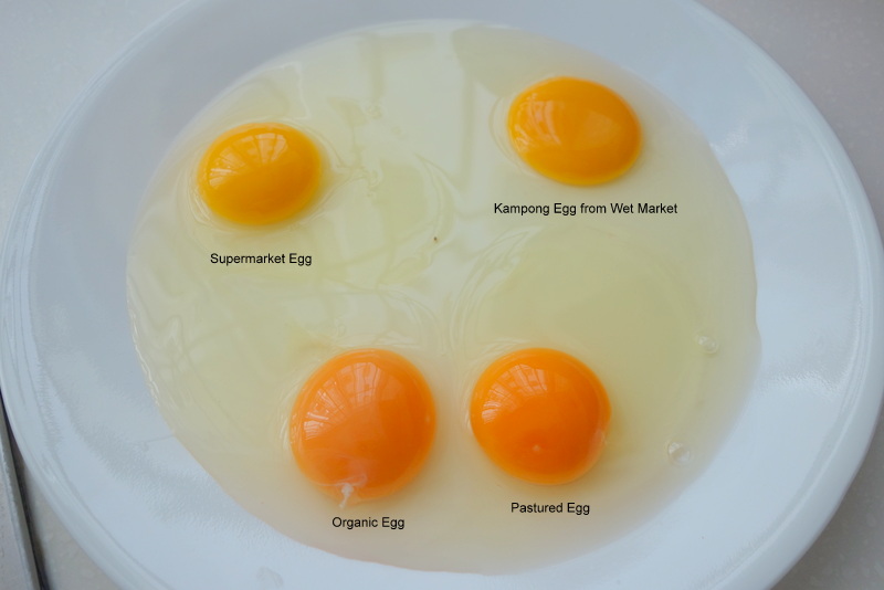 Pasture Living Eggs are Nutrition Powerhouse