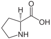 Bioquímica