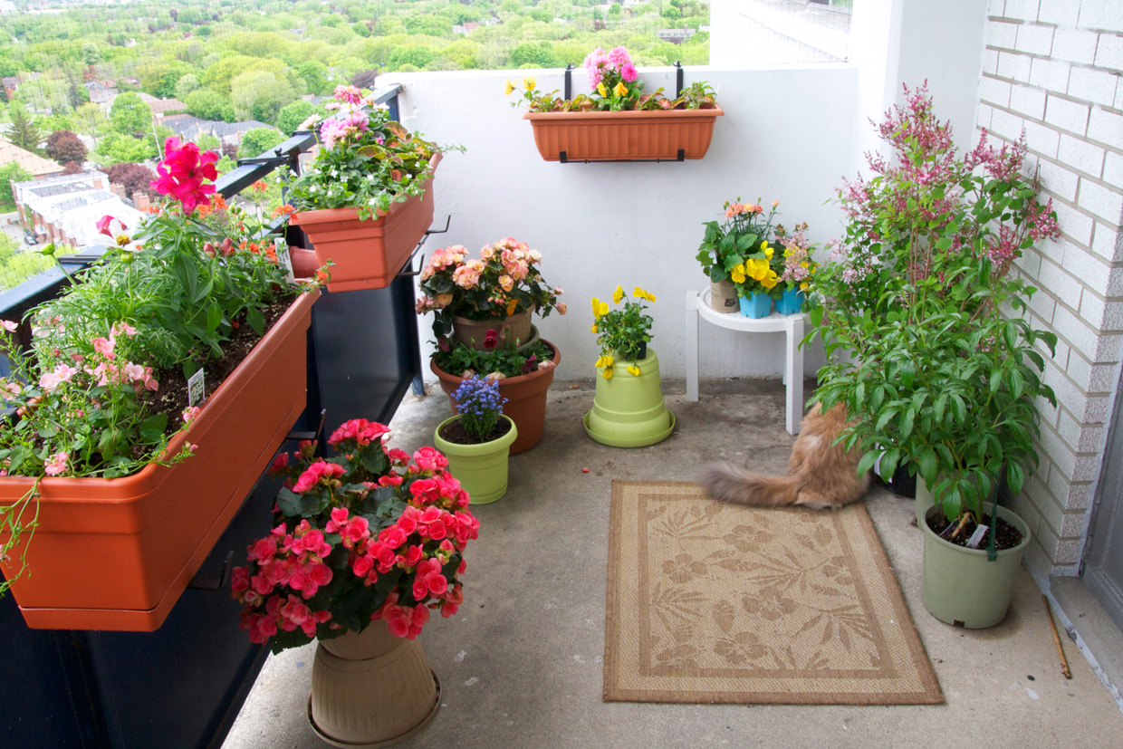 Apartment balcony makeover: balcony chic big medium tiny. simple ...