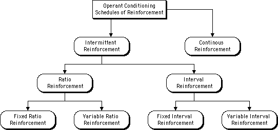 OPARENT CONDITIONING SYSTEM
