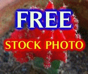 FREE STOCK PHOTO