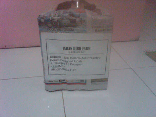 Jaban Birdfarm Packing dan resi pengiriman