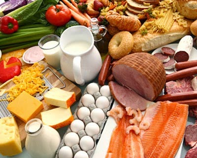 Best Protein Diet Foods