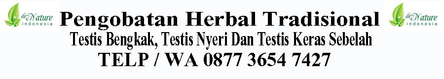 Cara mengobati testis nyeri dan sakit