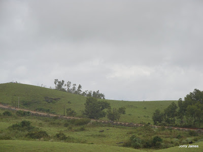 Wagamon Meadows