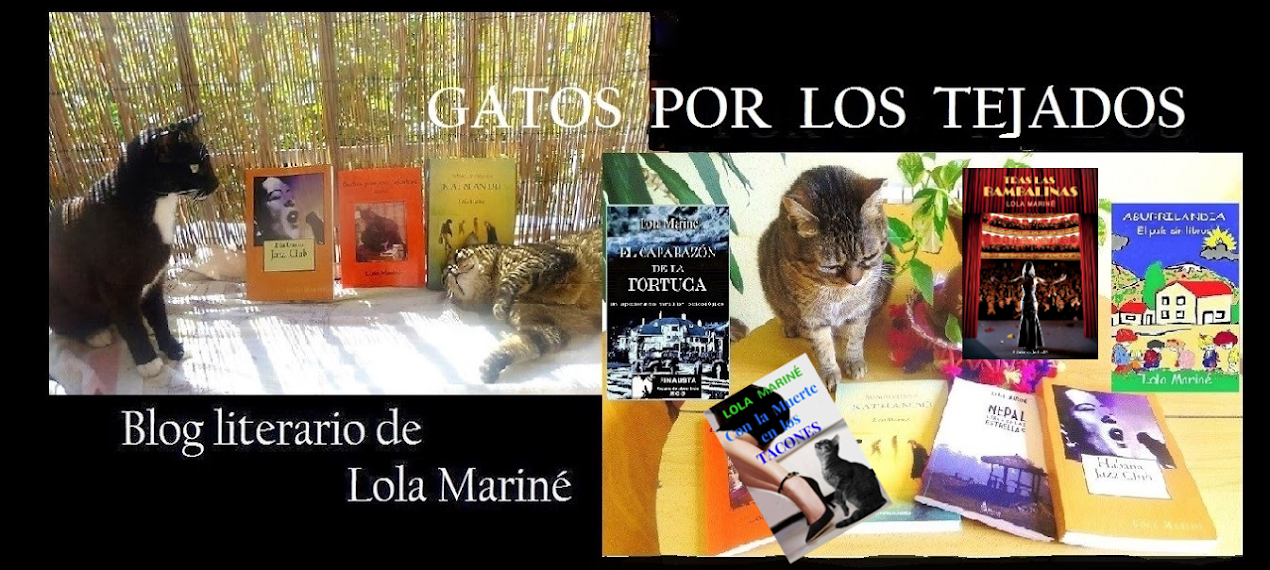      Gatos por los tejados