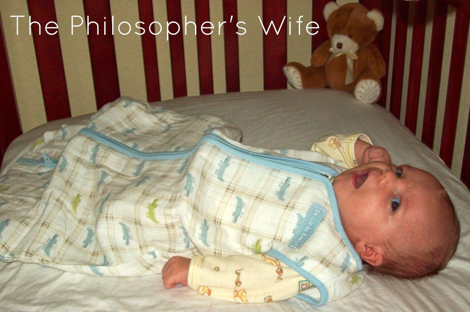The Philosopher's Wife HALO SleepSack (A Product Review)