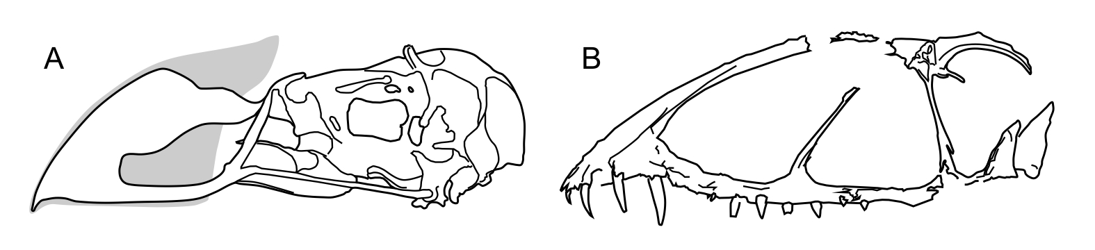 Mark P. Witton's Blog: Deinosuchus: the Dalek-backed alligatoroid that  (sometimes) made chew toys of dinosaurs