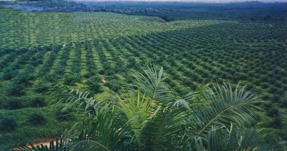 PENGERTIAN DEFINISI ISTILAH ARTI KATA EKOSISTEM BINAAN