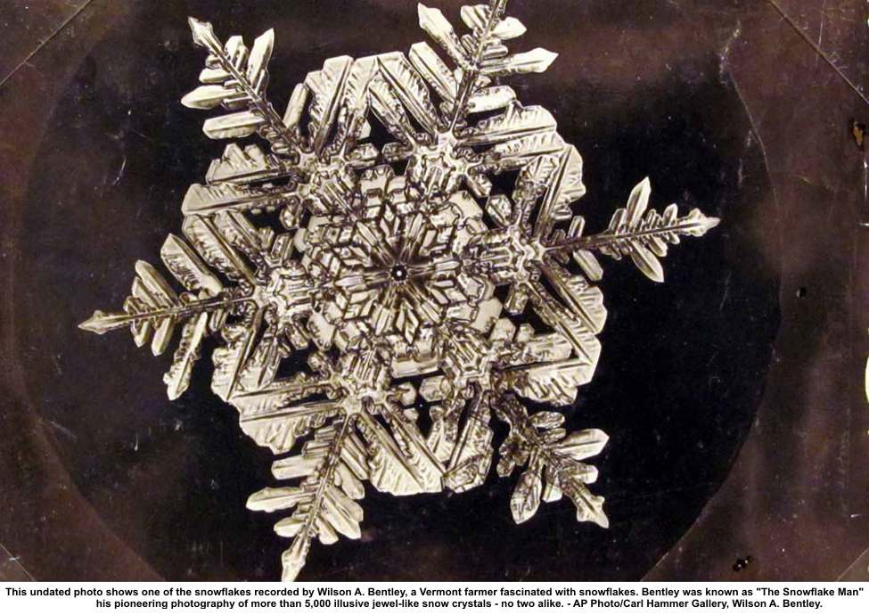 Snowflake Bentley Photos