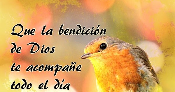 Imagen relacionada