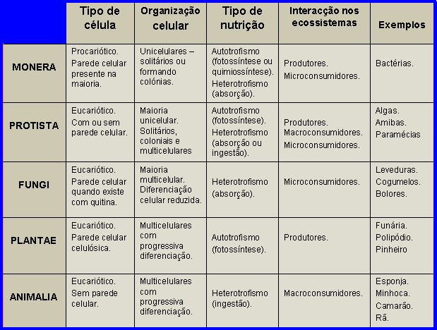 Faça um resumo