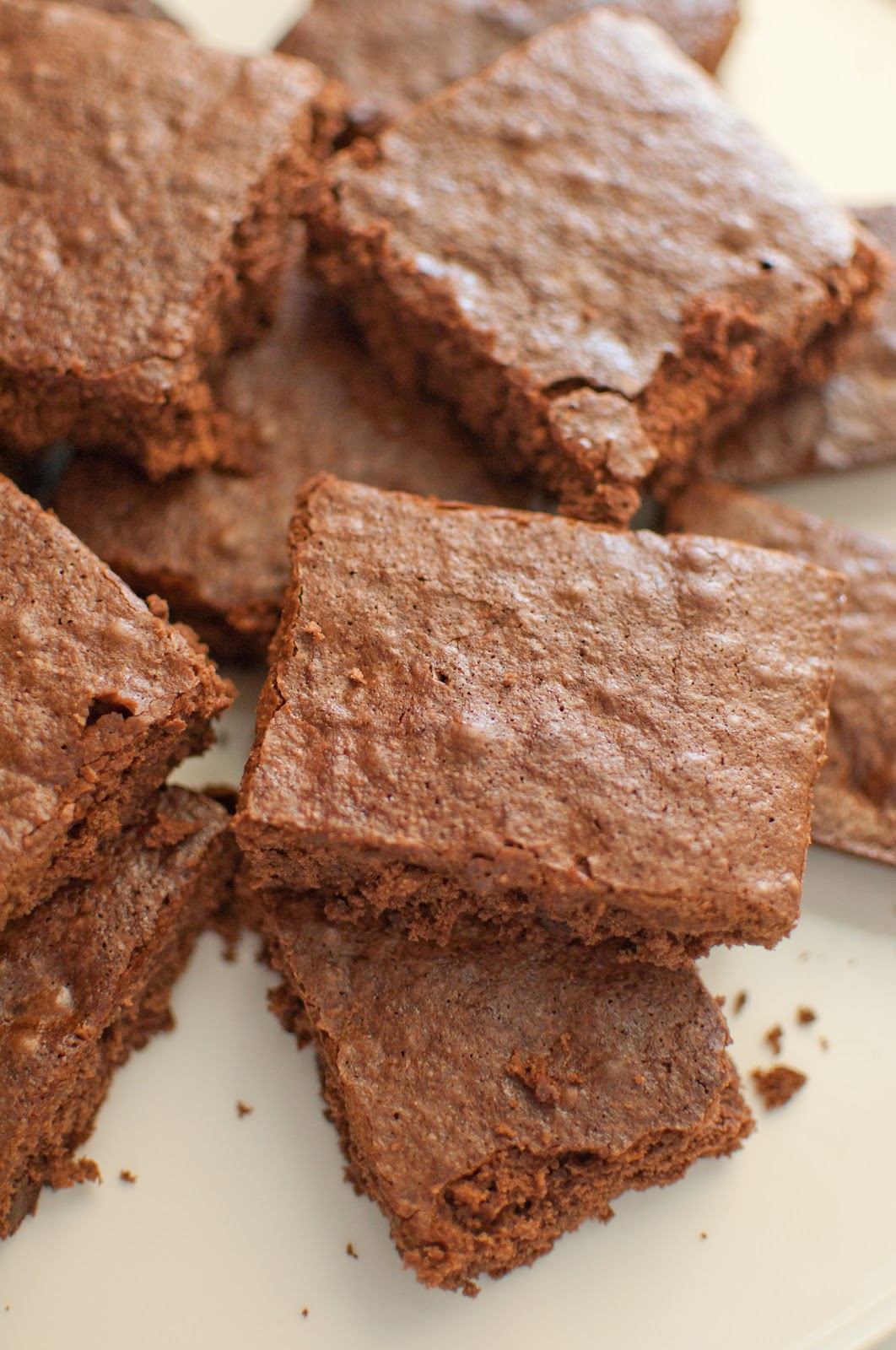 Chocolatey Flaxseed Brownies Recipe photo foto Chocolatey Flaxseed Brownies Recipe