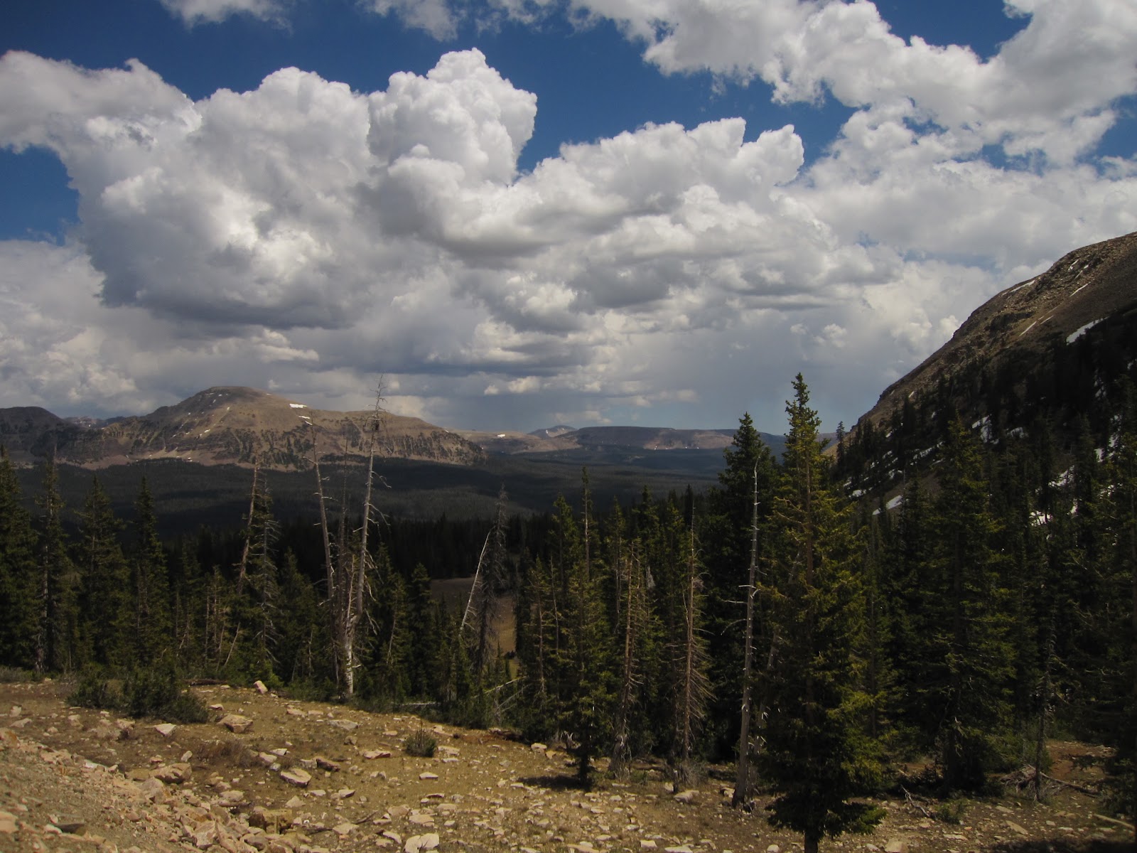 The Hikemasters' Trail Descriptions Murdock Peak, High Uinta Mountains