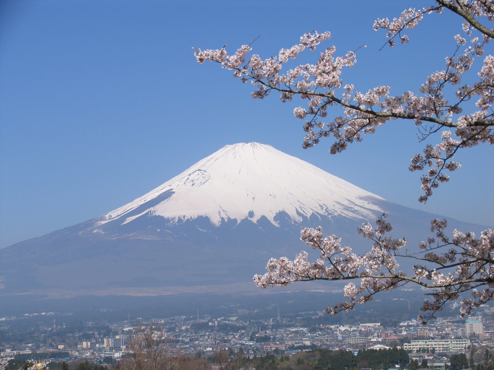 富士＆桜