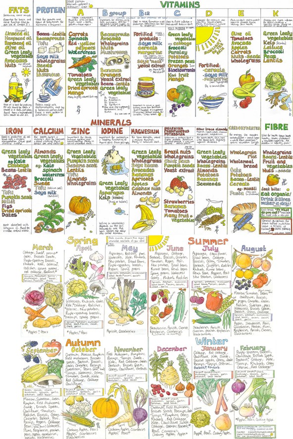 Where can you find a fruit and vegetable calorie chart?