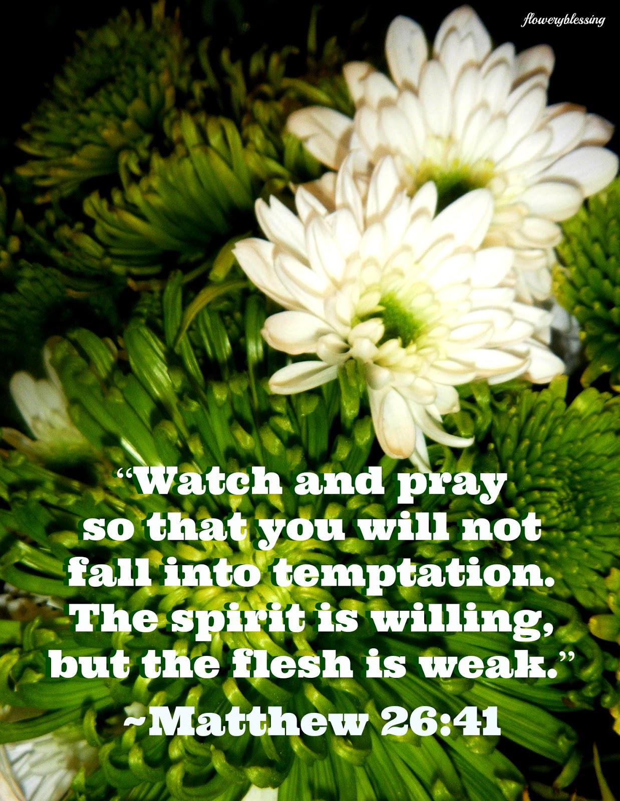 Flowery Blessing “Watch and pray so that you will not fall into